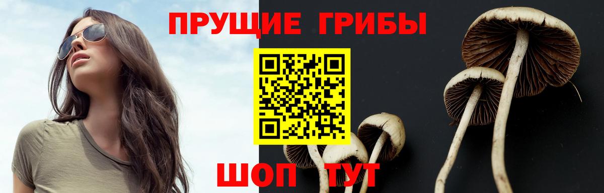 Псилоцибиновые грибы MAGIC MUSHROOMS  Галлюциногенные грибы мухоморы  Елец  Вход с VPN 