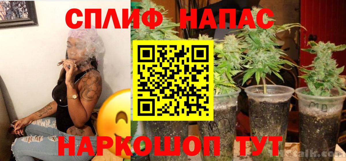 Конопля SATIVA & INDICA Елец
